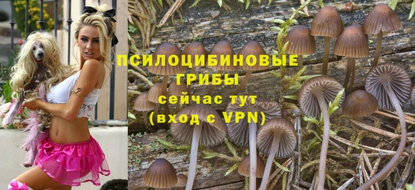первитин Арсеньев