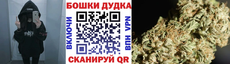 Бошки Шишки конопля  Купить закладки  Мытищи 